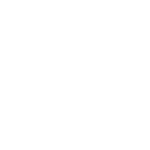 Logo blanc adidas